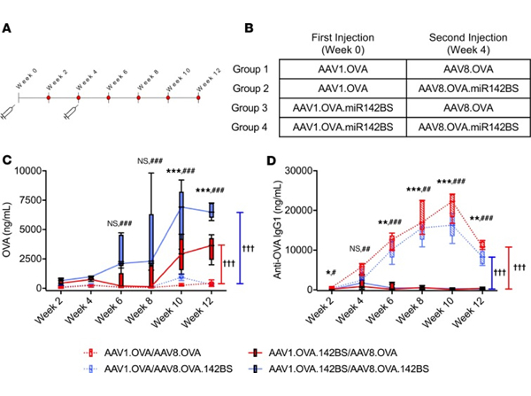ELISA using Ovalbumin HRP
